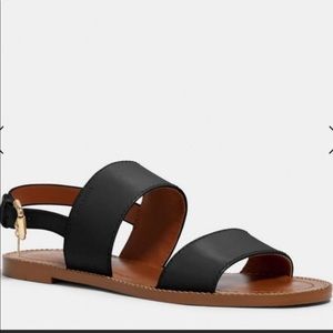 Coach Henny Sandal Sz 9.5